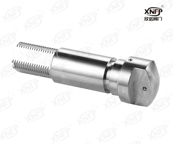 XN005 阀杆实物