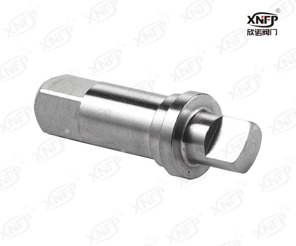 XN055 阀杆实物